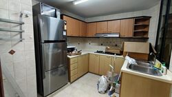 Simsville (D14), Condominium #578449311